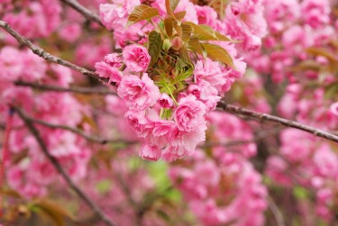常州天宁区1线下个人借款平台一站式服务，轻松解决资金难题