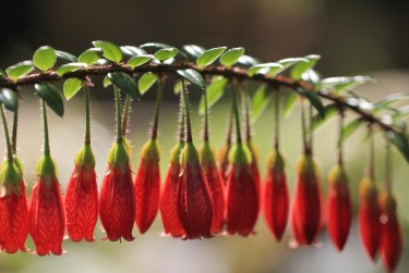 常州天宁区1零用贷短借：轻松解决临时资金需求