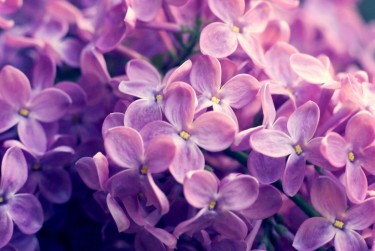 常州天宁区1企业急用钱贷款攻略：快速融资解燃眉之急